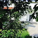 Villa Dalia *
